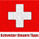 Schweizer Steuern Tipps